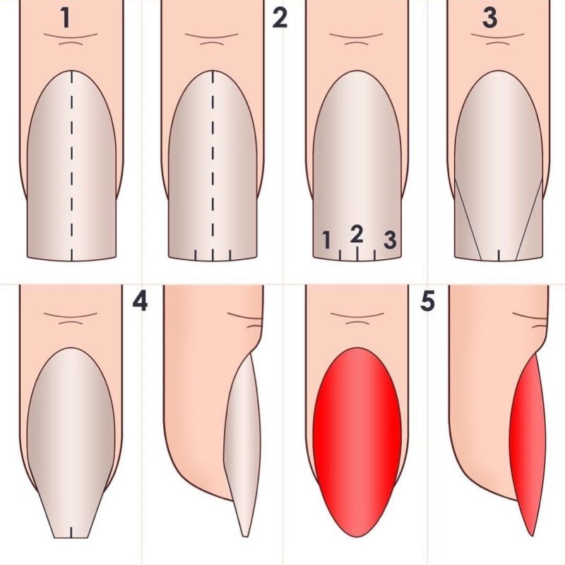 Виды форм ногтей