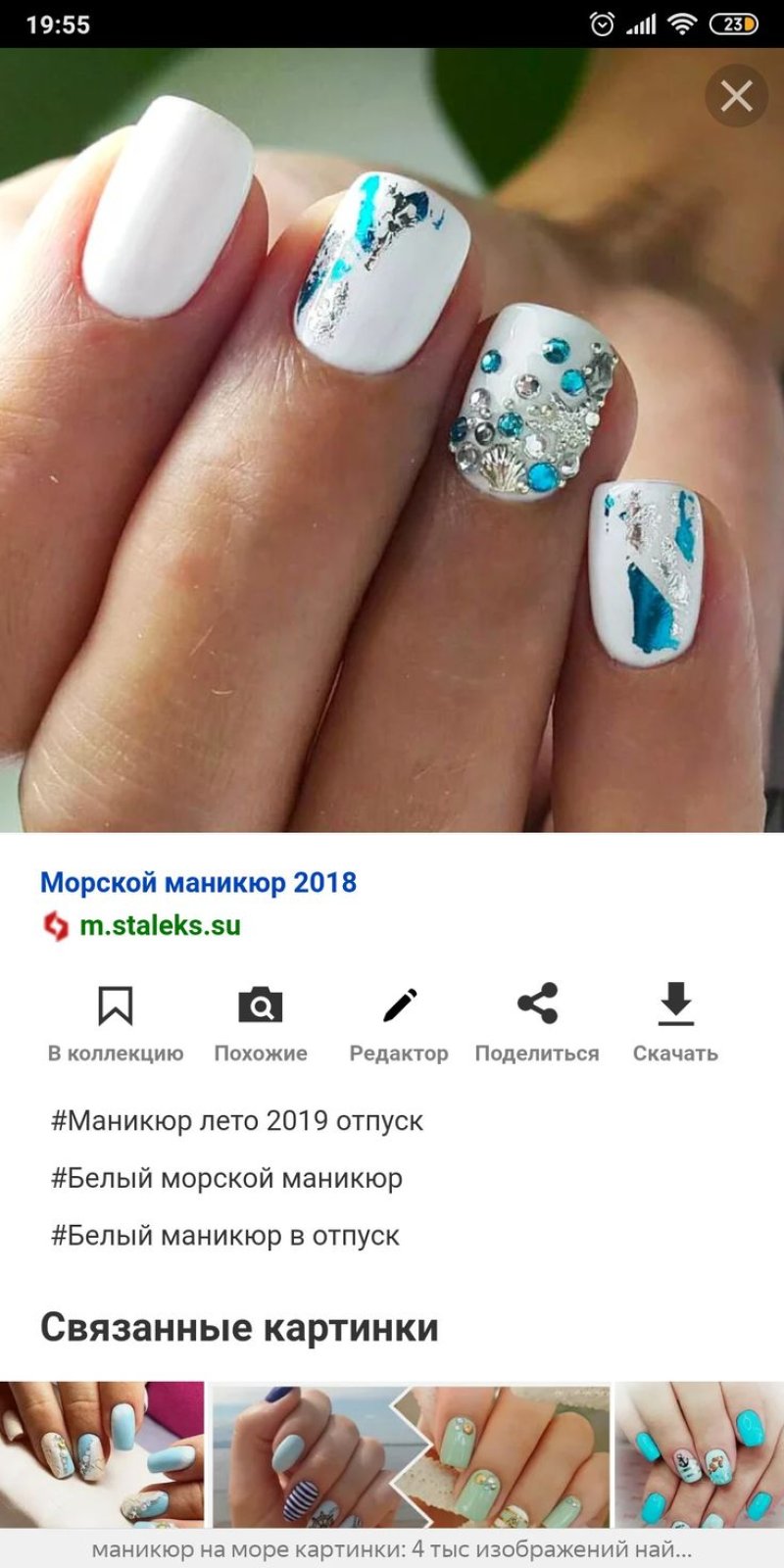 Морские ногти