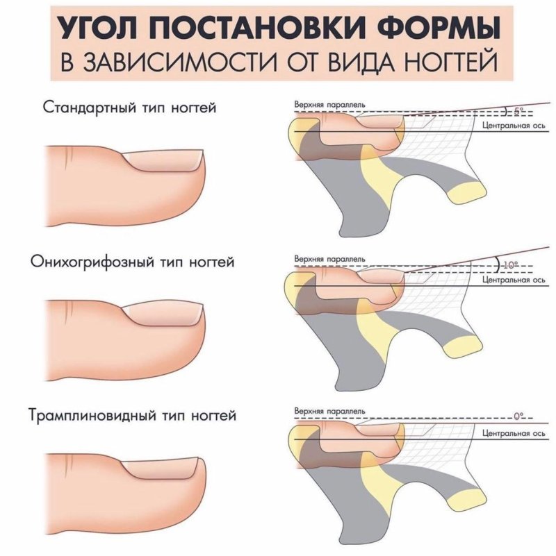 Виды форм ногтей