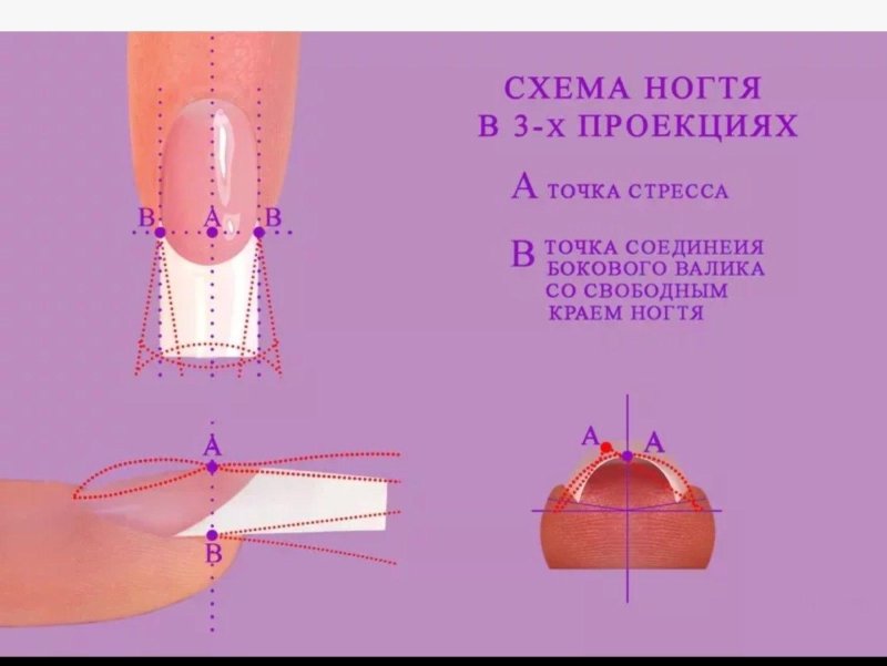 Схема наращивания ногтей гелем