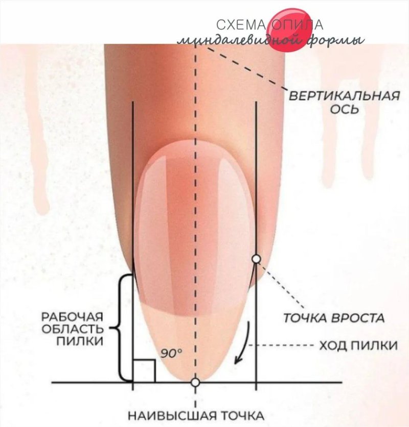 Форма ногтей миндаль схема опила