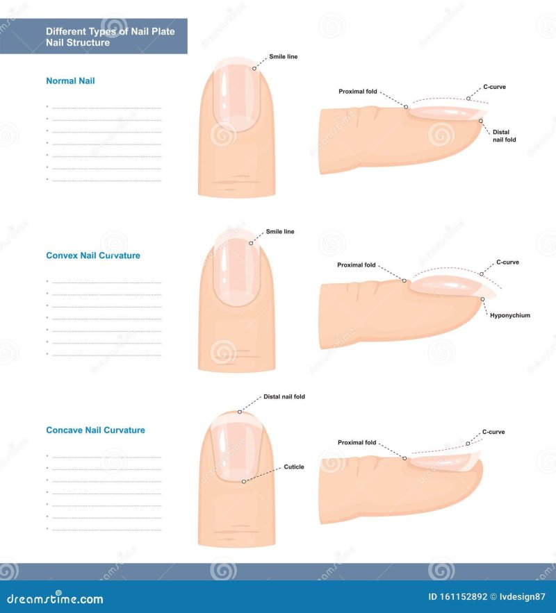 Типы форм ногтей