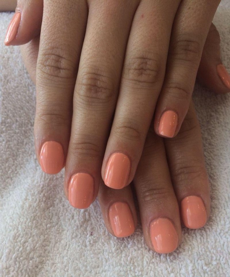 Cnd shellac salmon run