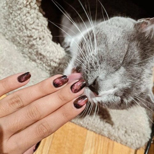 Маникюр кошачий глаз