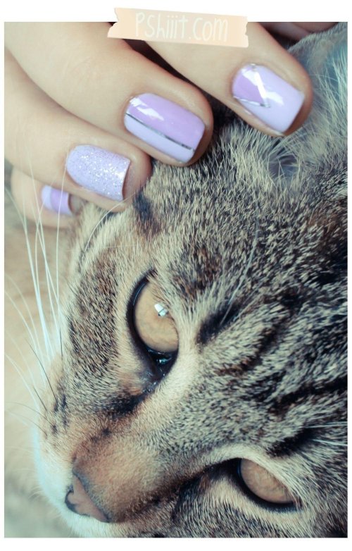 Ногти с котиками