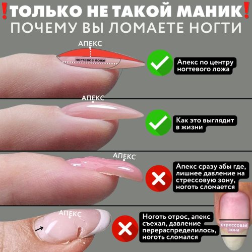 Апекс в ногтях