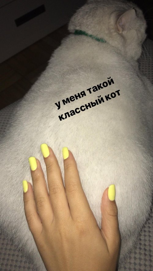 Желтые ногти маникюр