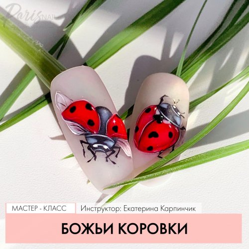 Божья коровка на ногтях