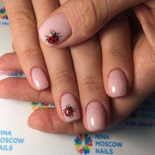Маникюр божья коровка