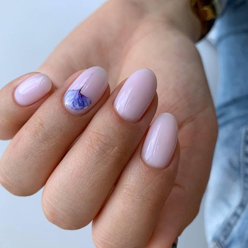 Нежный маникюр на короткие ногти овальной формы