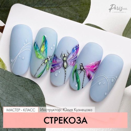 Маникюр со стрекозой