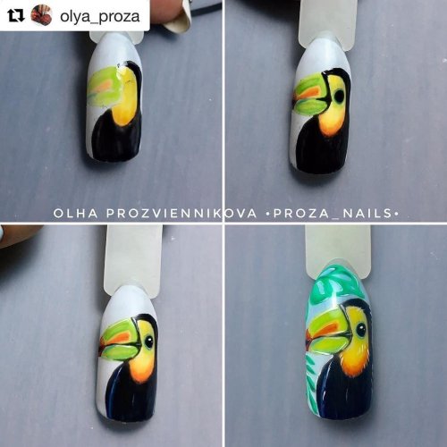 Маникюр с туканом