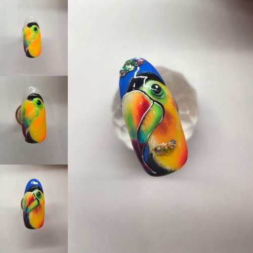 Маникюр с туканом