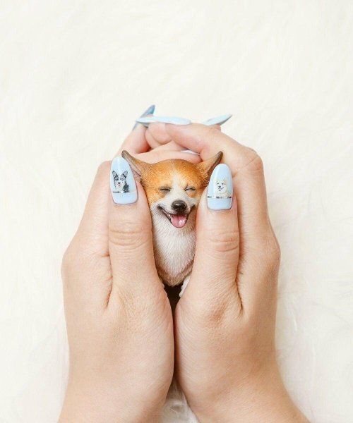 Маникюр с корги на миндаль