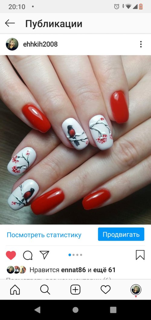 Маникюр со снегирями
