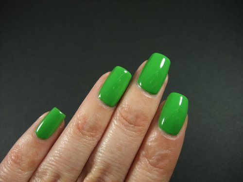 Cnd lush tropics