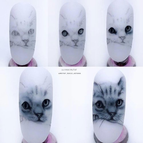 Котик на ногтях пошагово